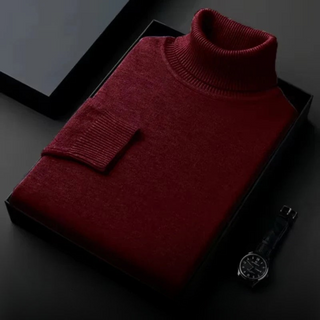 Javon | Rollkragenpullover