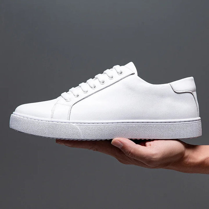 Franco | Herren Sneaker aus Kunstleder